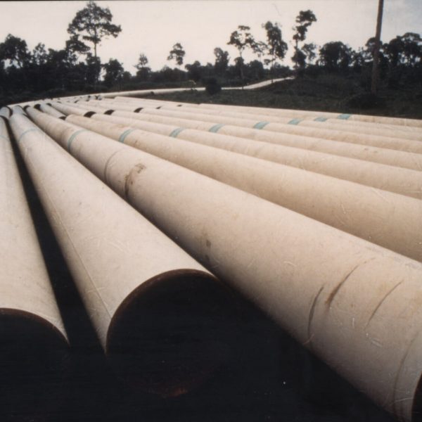 Is Chevron a Model of “Corporate Excellence”? We don’t think so.
