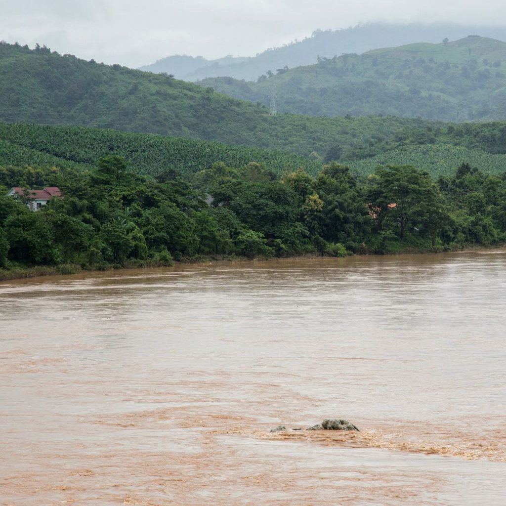The unique ecosystems of the Mekong River, flowing between Chiang Khong and Huay Xai, include rapids, islets, rocky areas, and sandy river beaches. The Chinese government plans to clear rapids and islets from the Mekong River to allow ships carrying up to 500 tons to travel from southern China to Myanmar, Thailand, and Laos.
