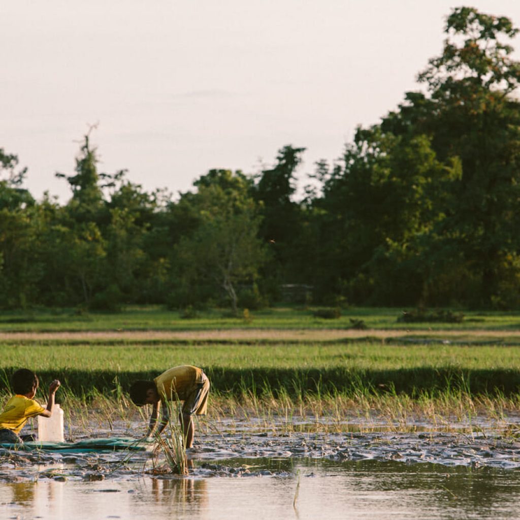 Many communities depend on rivers for their livelihoods.