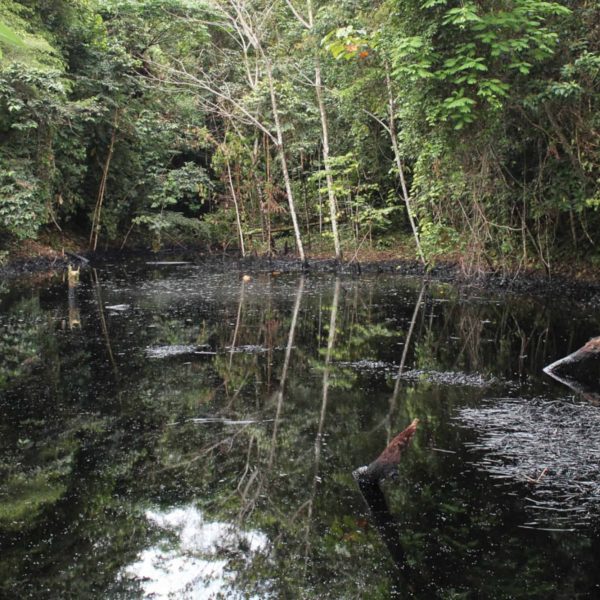 Norperuano Pipeline Contamination