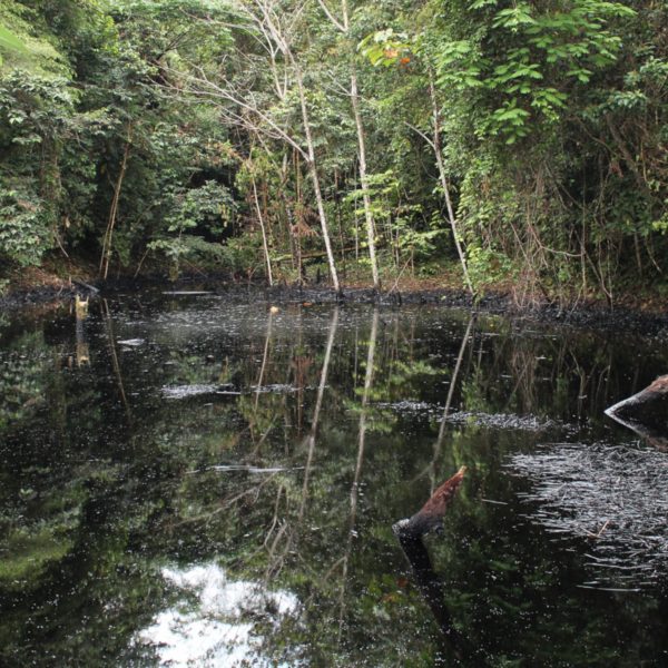 Sociedad Civil Expresa su Preocupación por la Cancelación de la Visita Que Haría  La CIDH a las Comunidades Indígenas Impactadas por los Derrames de Petróleo en la Amazonia Peruana