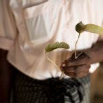 Myanmar Human Rights Violations Thilawa