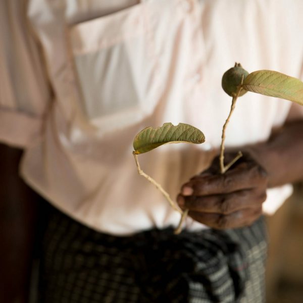Farmers in Thilawa, Myanmar Defend Land Rights in Court and Fight Trespass Charges