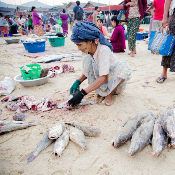 Thai Outbound Investments in the Mekong Region and Myanmar