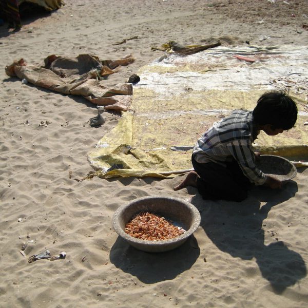 World Bank Group Fails in its Promise to Protect the Most Vulnerable