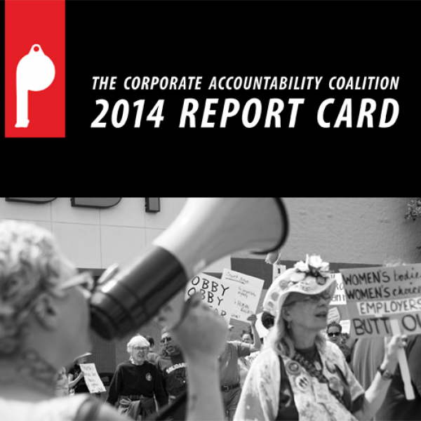 Majority of Congress Failed to take Action on Corporate Accountability in 2014