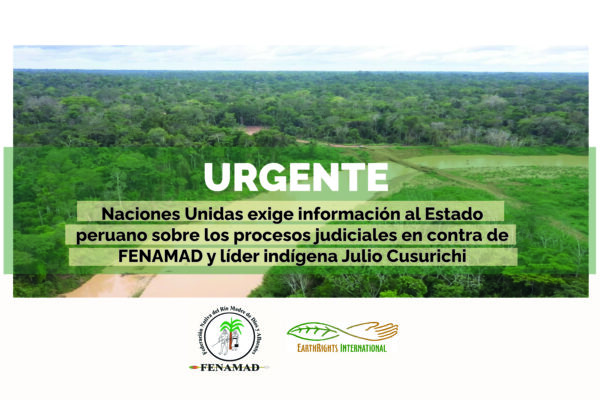 Naciones Unidas exige al Estado peruano información sobre los procesos judiciales en contra de FENAMAD y su expresidente Julio Cusurichi