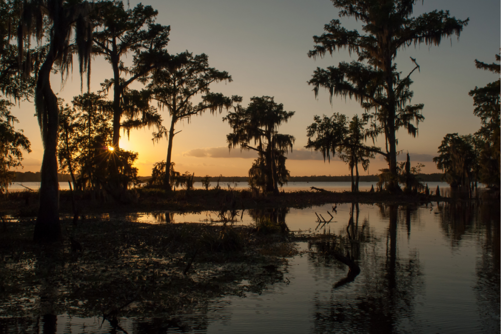 The World Is Watching How a Petrochemical Giant Denies Its Neighbors Justice