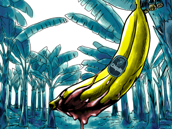 TRIBUNAL DE EE.UU. RATIFICA HISTÓRICO VEREDICTO CONTRA CHIQUITA BRANDS A FAVOR DE LAS VÍCTIMAS DE LAS AUC