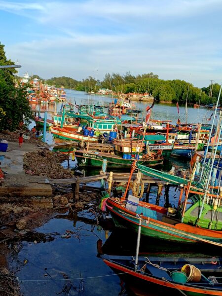 Small-boat fishing is collapsing