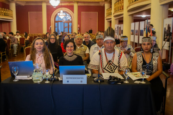 Indigenous Leaders in Peru Call for an End of Extractive Activities in the Amazon To Safeguard the Lives of the Mashco Piro People