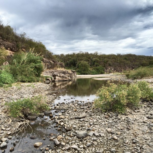 First Foreign Legal Assistance Network Filing Seeks Information from Southern Copper Regarding Toxic Spill