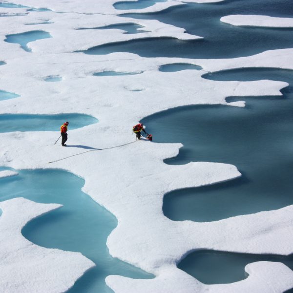 Exxon’s Campaign of Intimidation against Climate Defenders Ushers in a New McCarthy Era