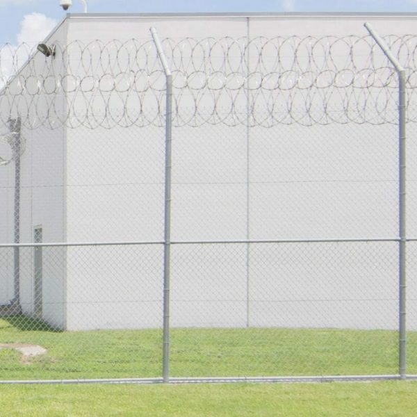 Family Separation and the Companies that Profit
