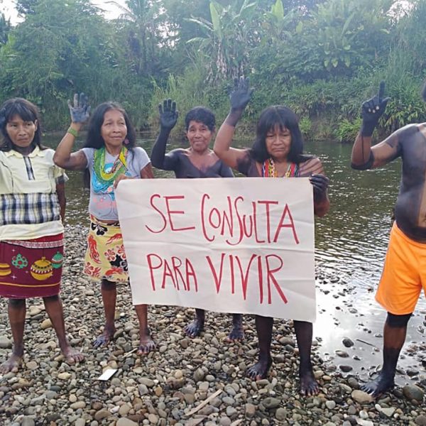 Impacto de la pandemia en los Pueblos Indígenas de Colombia se da a conocer al Relator Especial de la ONU