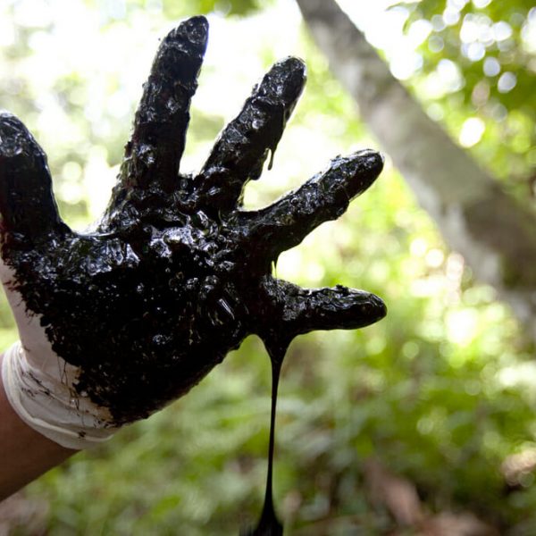 No Colors Left, the Amazon is Painted Black