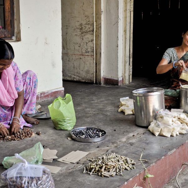 Bhopal Pollution Victims Petition for Rehearing After Court Ignores Their Pleas