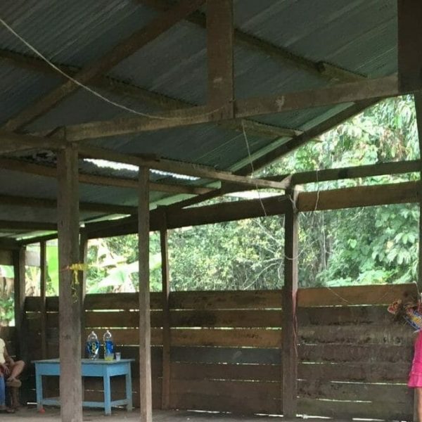 Have we Learned from the Past? Indigenous People Living in Voluntary Isolation in the Peruvian Amazon.