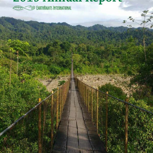 2019 Annual Report