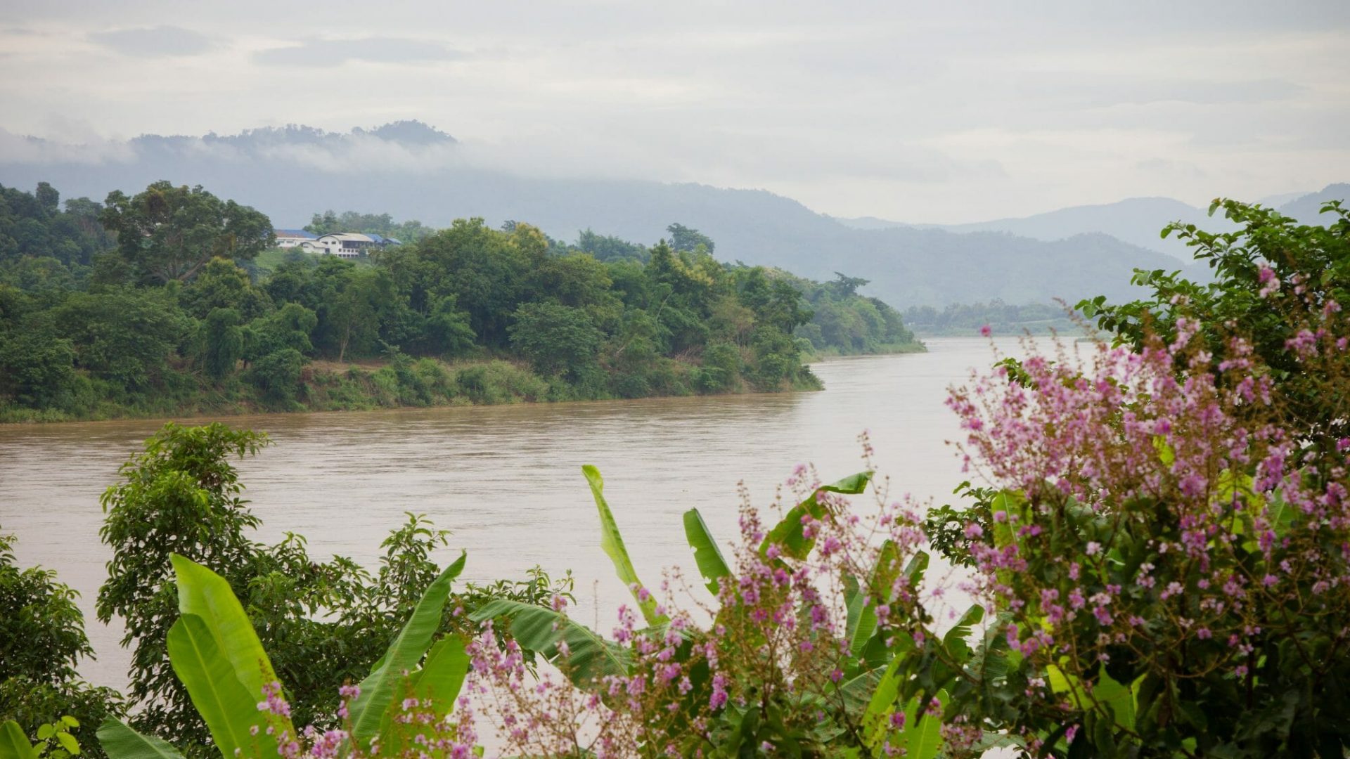 From The Amazon To The Mekong: Celebrating Rivers For World Rivers Day ...