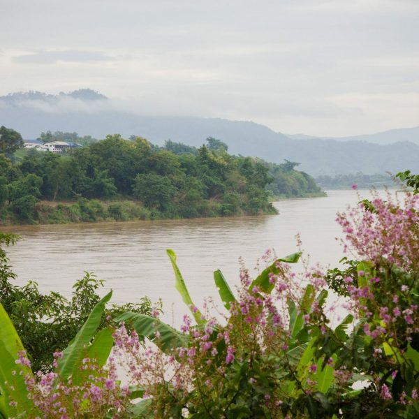 From the Amazon to the Mekong: Celebrating Rivers for World Rivers Day
