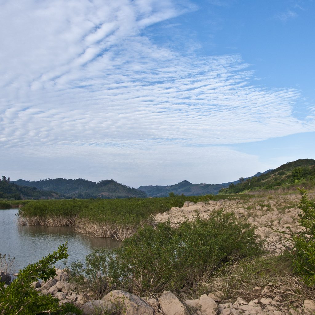 Farmland along a tributary of the Mekong River, imperiled by a nearby dam.