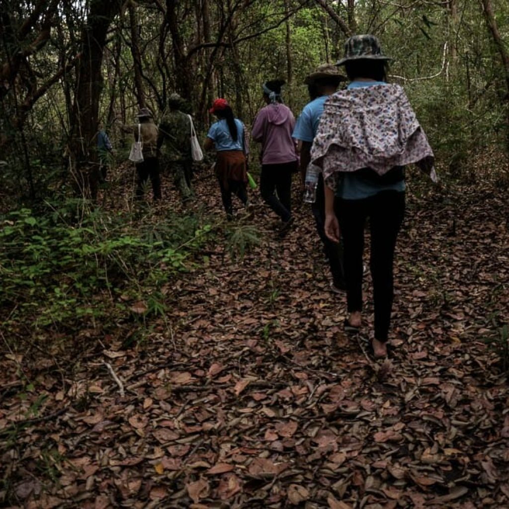 Participants in the youth camp trek in the Virachey National Park together with community members.