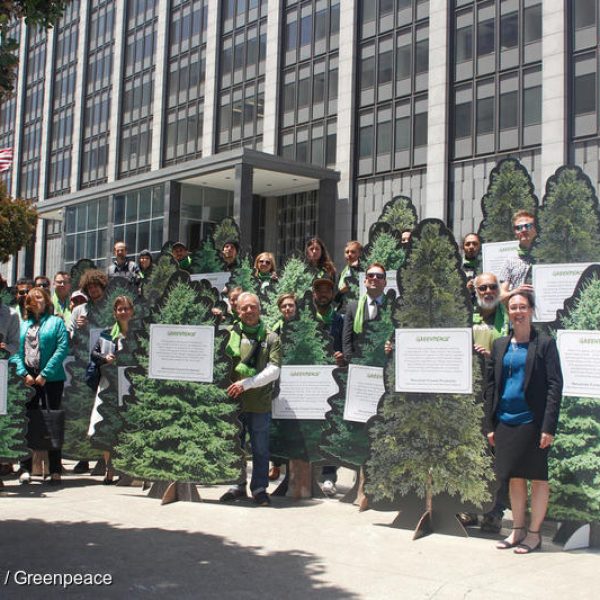 Federal Court Dismisses Logging Company’s Racketeering Claims Against Greenpeace