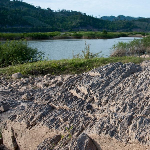 Litigating Environmental Abuses Under the Alien Tort Claims Act: A Practical Assessment