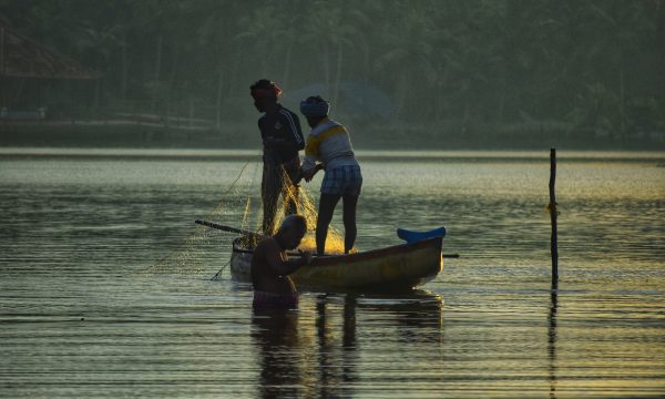 Human Rights and the Environment