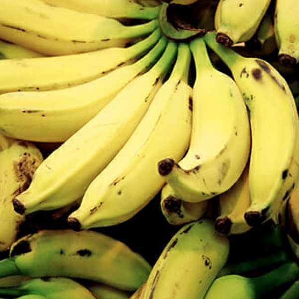 Families of Victims Petition U.S. Supreme Court to Hold Chiquita Accountable