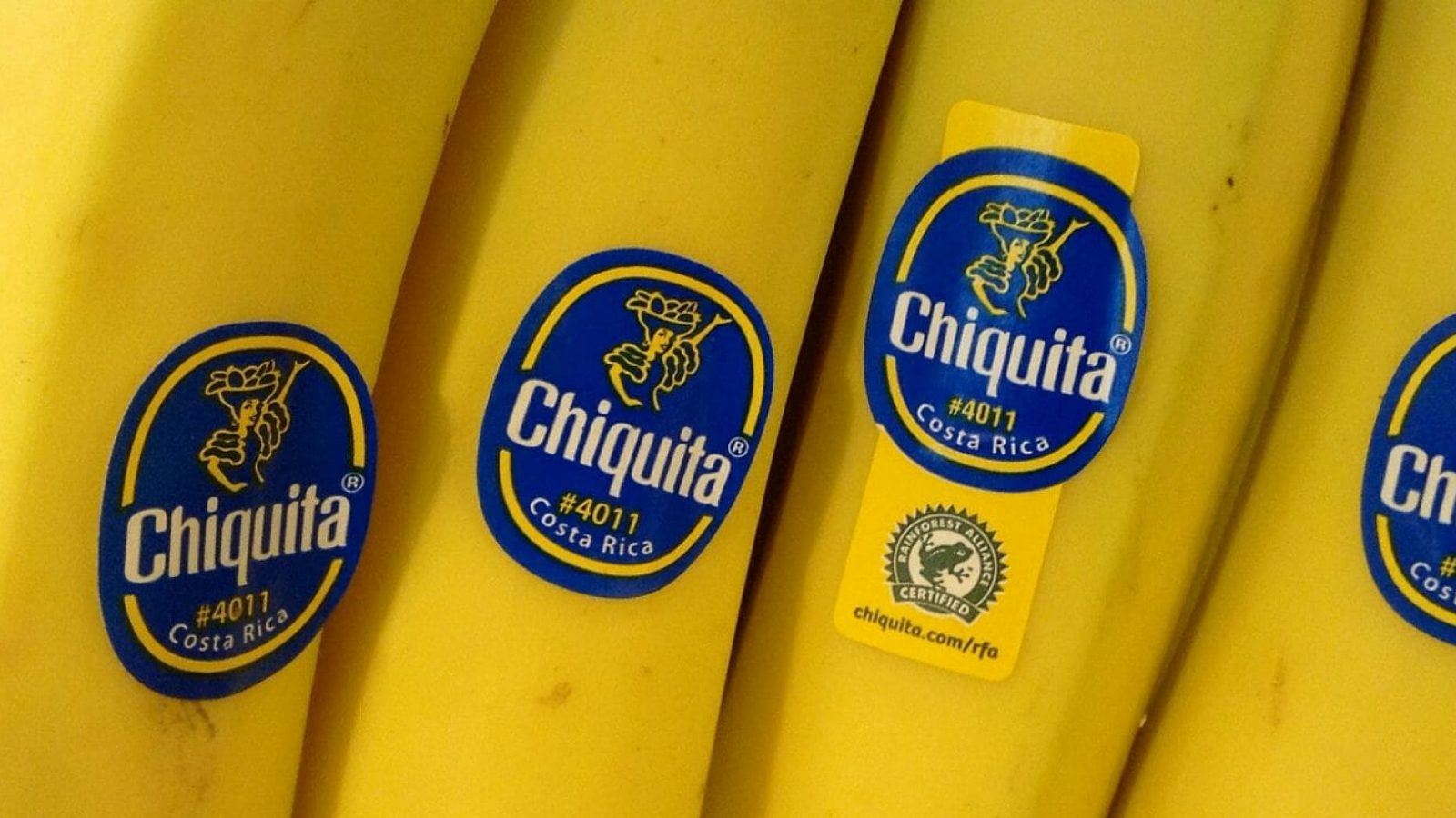 U.S. Court Orders Chiquita to Stand Trial for Colombians’ Murder Claims ...