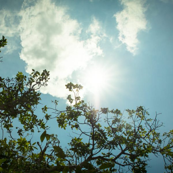 Comunidades indígenas y tribales solicitan a la Corte Interamericana de Derechos Humanos a que apoye la protección de los derechos humanos en el contexto de la crisis climática