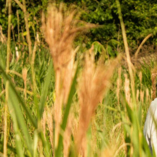 UNSRSG Submission – Consultation on Human Rights and the Extractive Industry