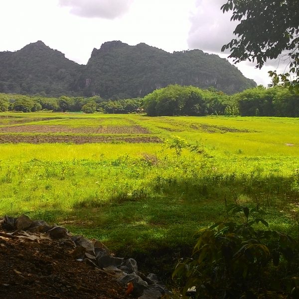 Asian Highway: a Grave Concern for the Karen People