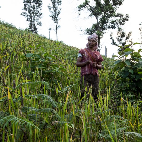 Obstacles to Indigenous Land Rights