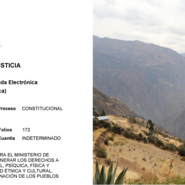 ONAMIAP inicia acción judicial contra el Gobierno Peruano por poner en riesgo a los pueblos indígenas durante la pandemia del COVID-19