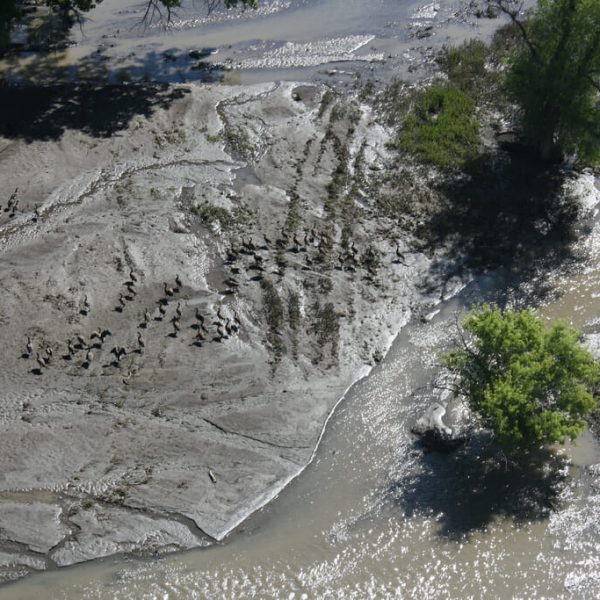 Yellowstone River Spill is Business as Usual for Big Oil