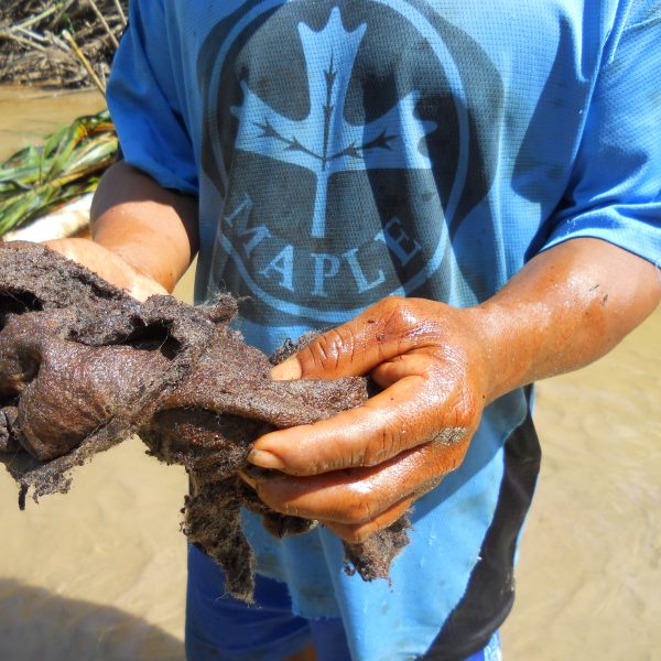 Peruvian Indigenous Communities Break Off Talks With Maple Energy