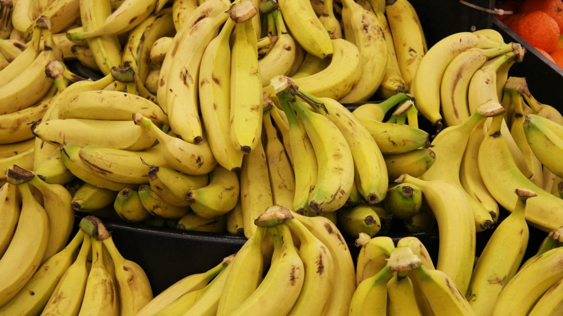 Doe v. Chiquita Brands International | EarthRights International