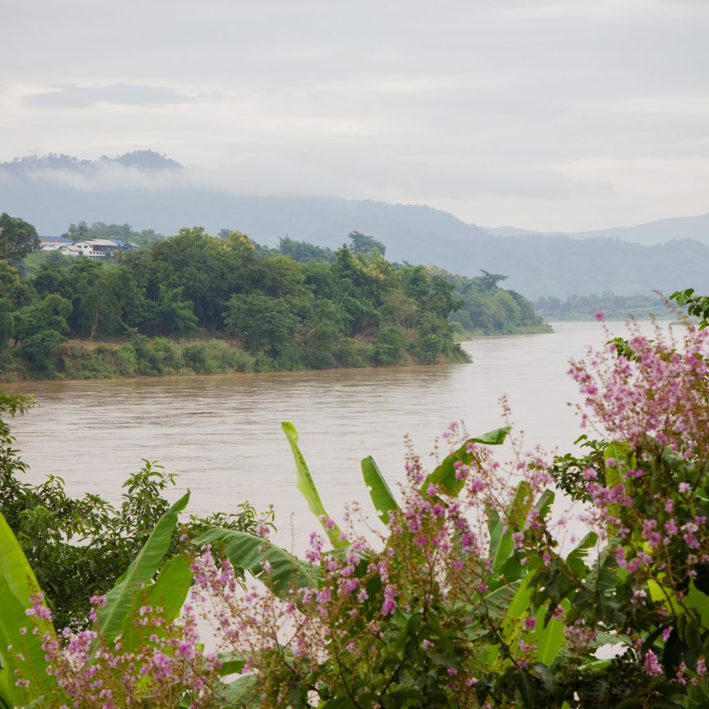 The Mekong River's rich biodiversity is threatened by megaprojects.