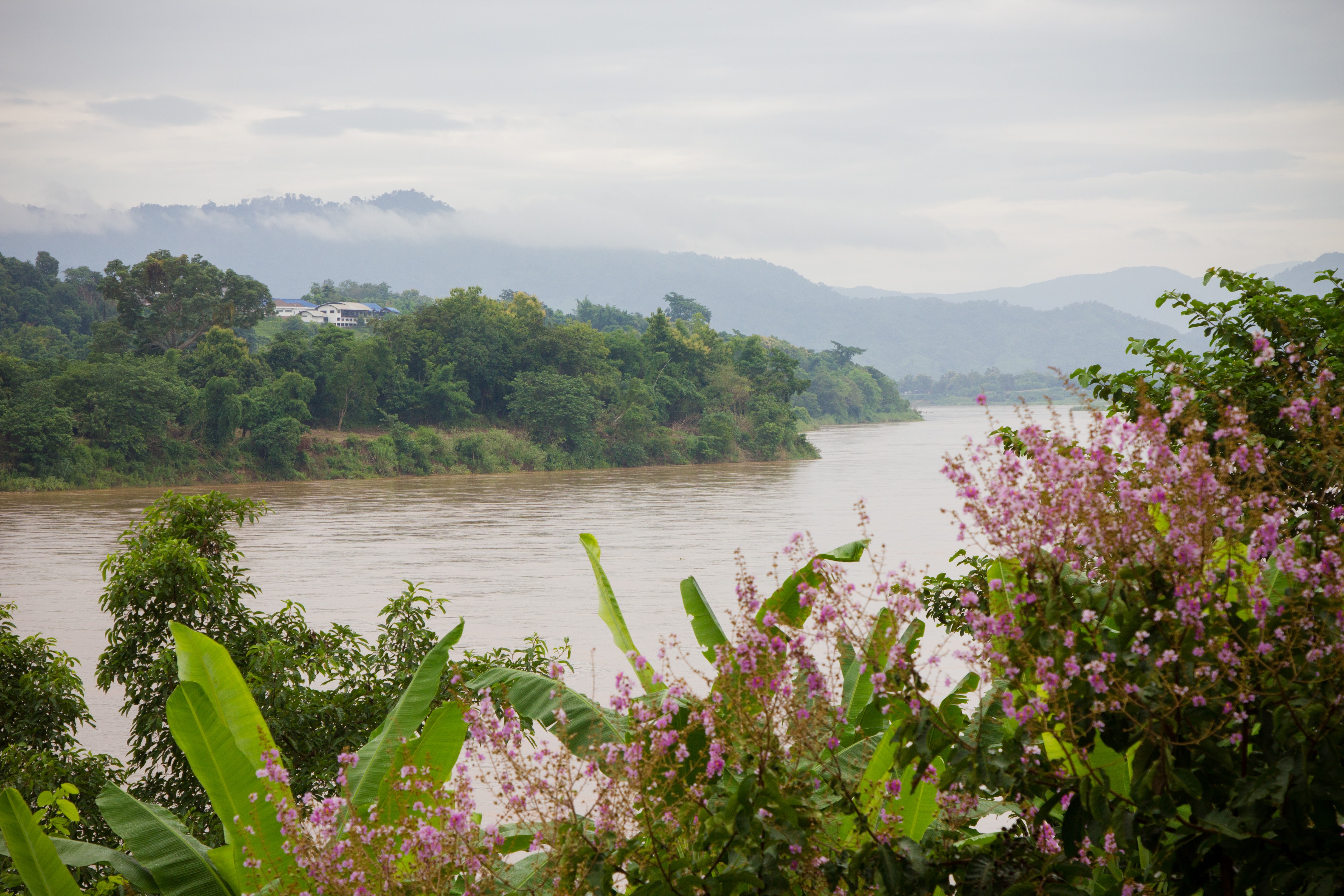The Mekong River's rich biodiversity is threatened by megaprojects.