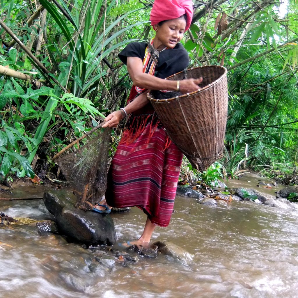A local Karen woman fishing in a mountain stream.