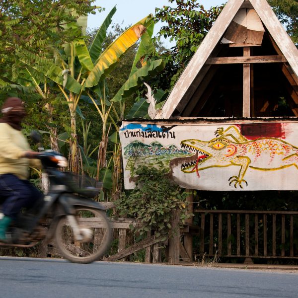 Thai Community Defends Town From Dam Project