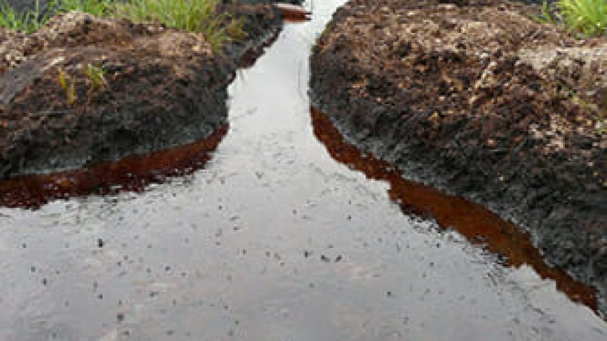 Shell Accepts Liability for Catastrophic Oil Spills in the Niger Delta ...