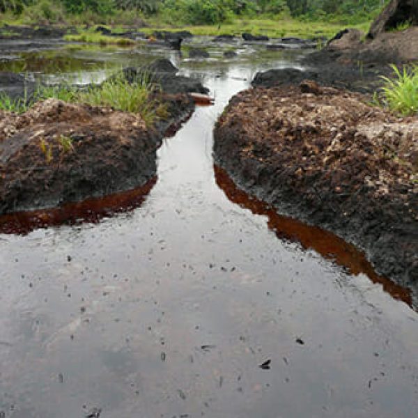 Shell Accepts Liability for Catastrophic Oil Spills in the Niger Delta