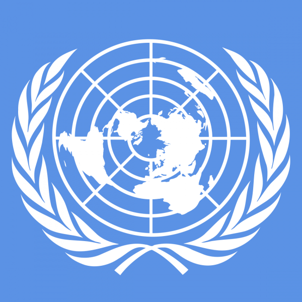 UN’s Historic Business and Human Rights Treaty Resolution Falls Short in Providing Relief for Victims