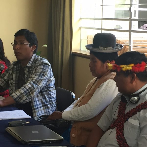 A Working Day with UN Special Rapporteur on the Rights of Indigenous Peoples in Lima
