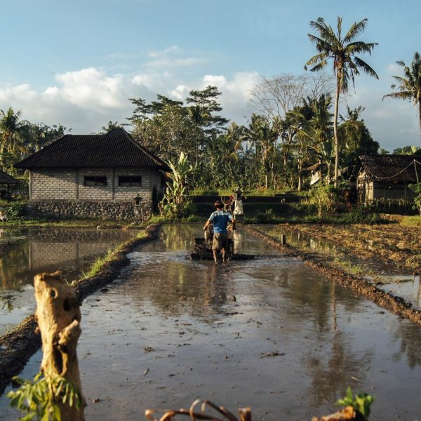 A Dam Bursts in Laos, Will Anyone Care?