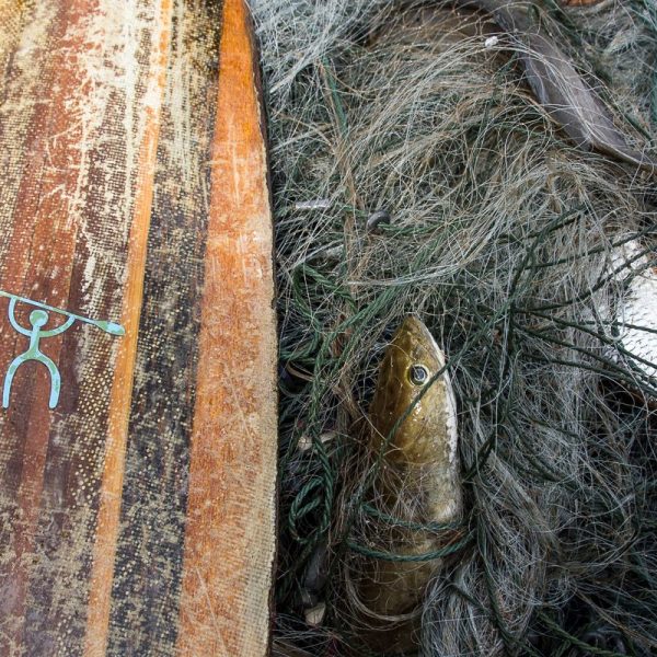 Thirty Years of Resistance: Stopping the Kaeng Sua Ten Dam on the Yom River